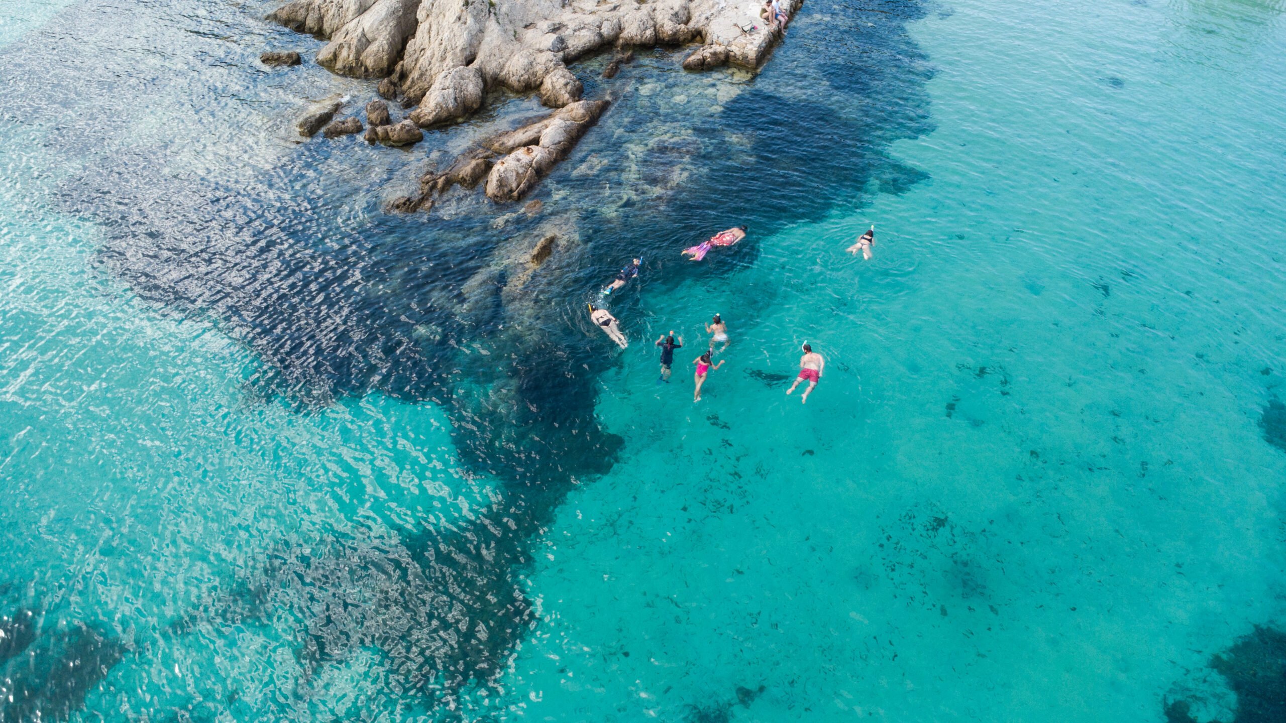 LOMBARDIA ECONOMY - Worldrise, un tuffo nel mare di doma