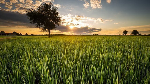 LOMBARDIA ECONOMY - Bilancio 2022